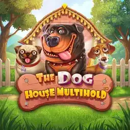 The Dog House Multihold game at Asino Casino for Australia players The Dog House Multihold game at Asino Casino for Australia players